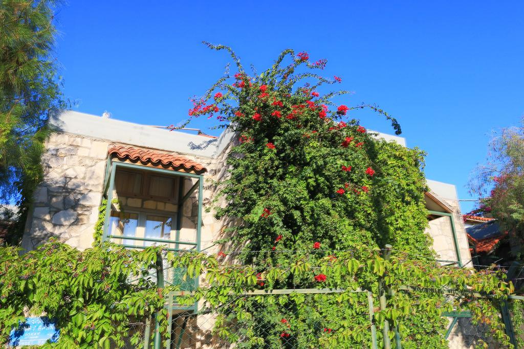Green House Apart Hotel Gumbet Ngoại thất bức ảnh